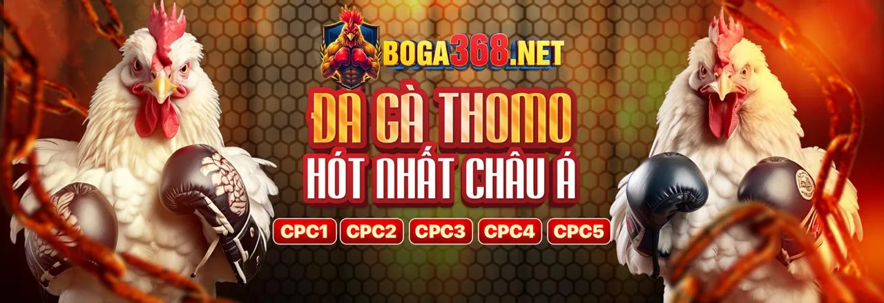 Sân đấu đá gà trực tuyến HCM666